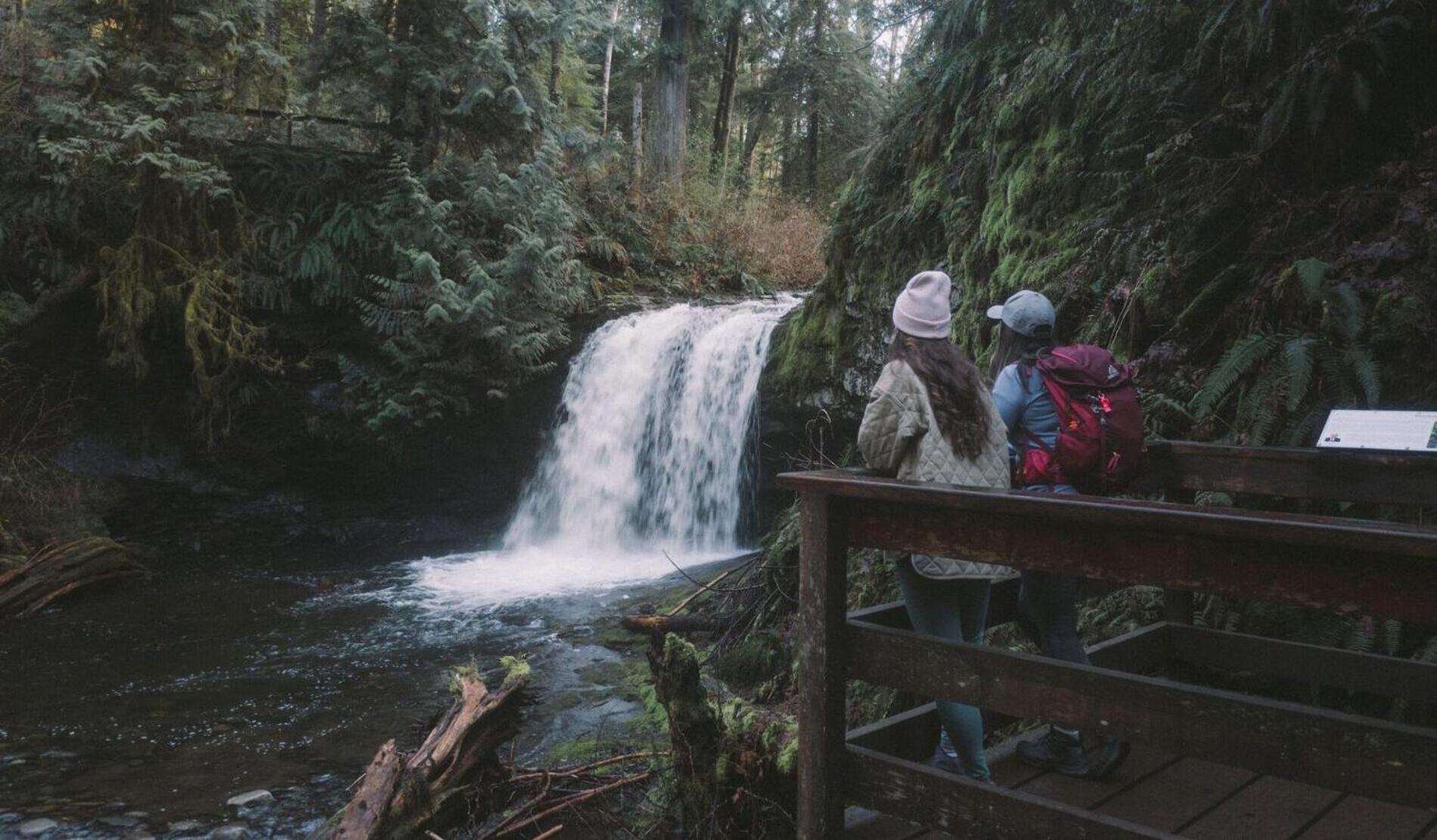 Cowichan Valley Guest Cottage レディスミス エクステリア 写真