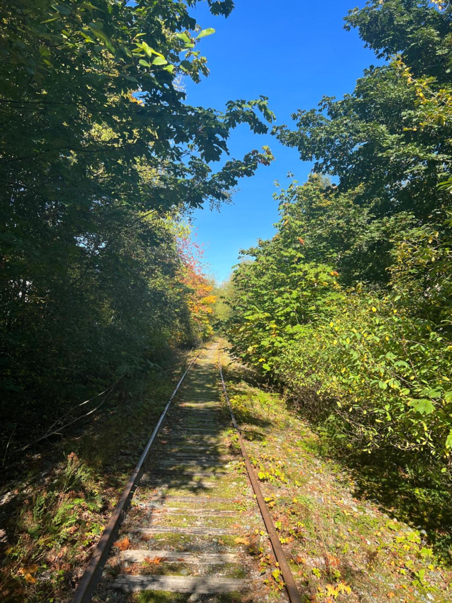 Cowichan Valley Guest Cottage レディスミス エクステリア 写真
