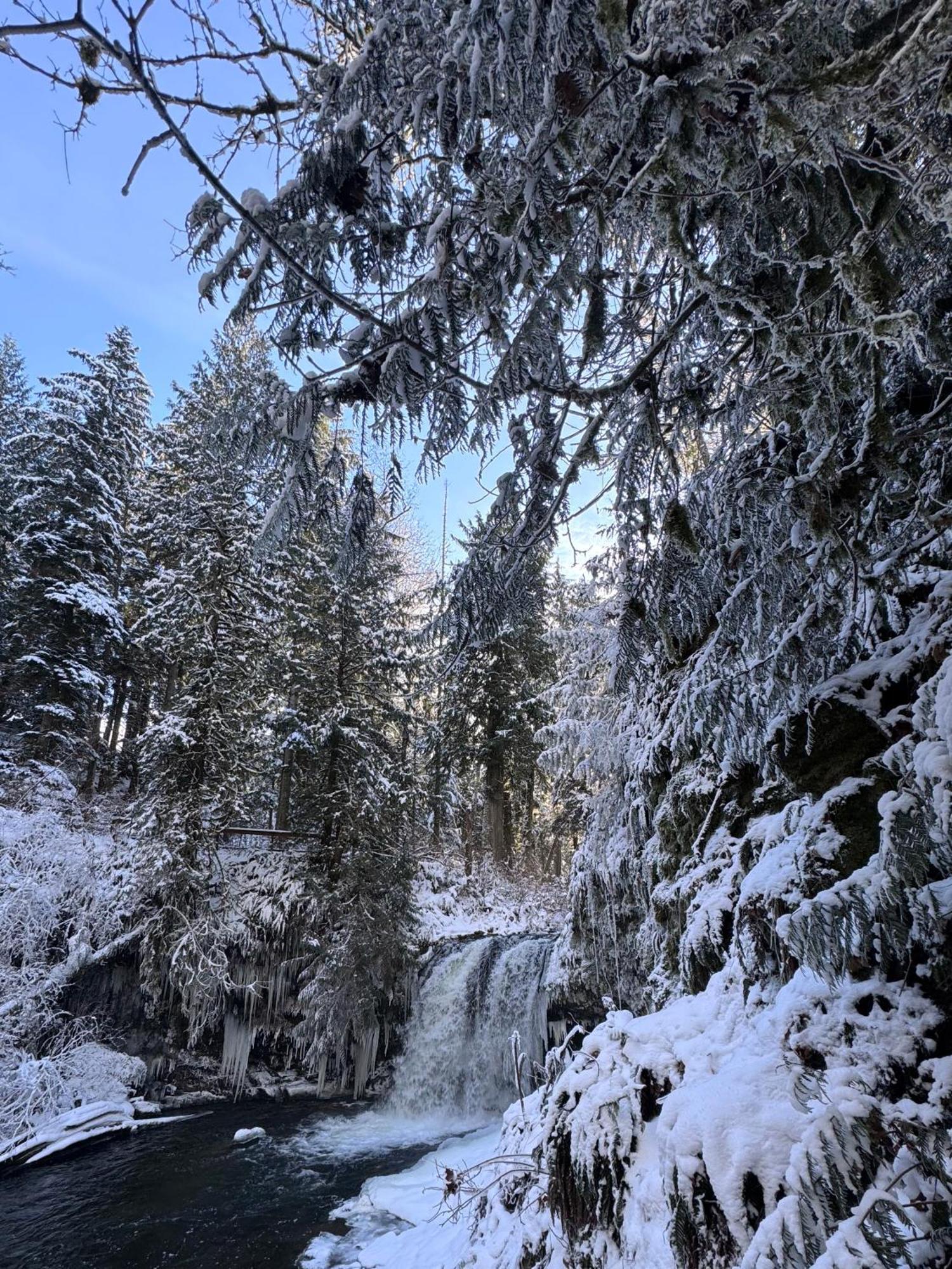 Cowichan Valley Guest Cottage レディスミス エクステリア 写真