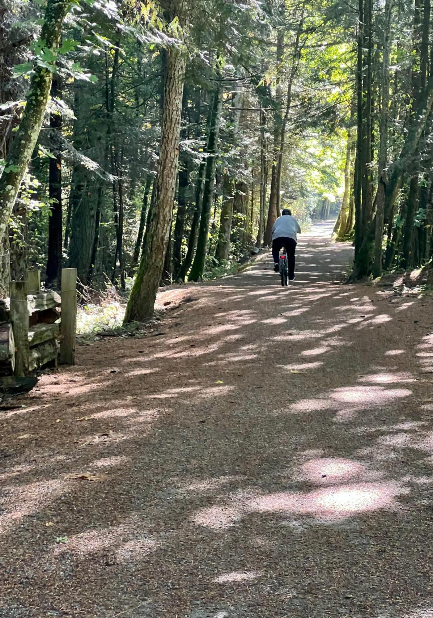 Cowichan Valley Guest Cottage レディスミス エクステリア 写真